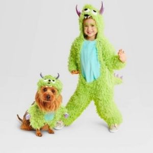 Kids dinosaur costume